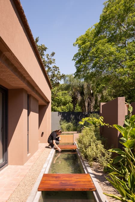 House around the Tree